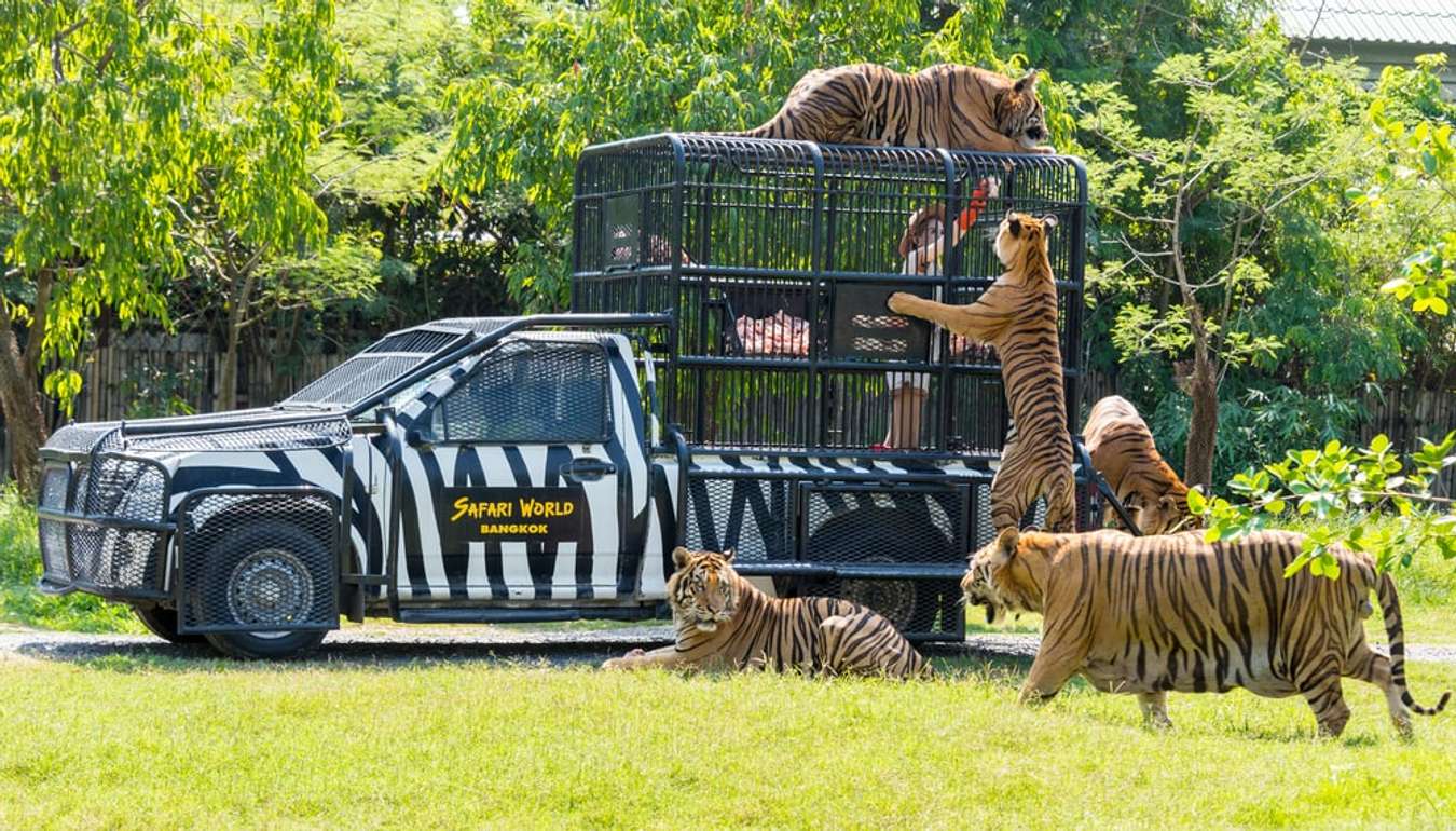Safari World - Bangkok